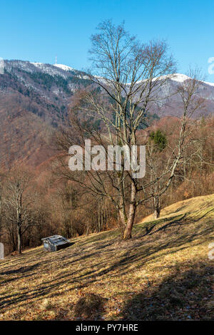 Der frühe Frühling Karpaten plateau Landschaft mit schneebedeckten Grat tops in weit, Ukraine. Stockfoto