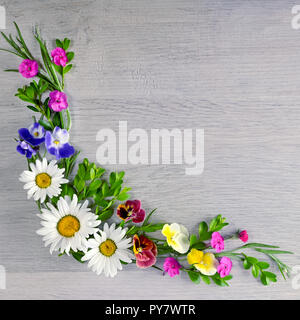 Blumen Komposition. Das Gestell ist aus Blüten von Gänseblümchen, Veilchen und Phlox. Flach, Ansicht von oben Stockfoto