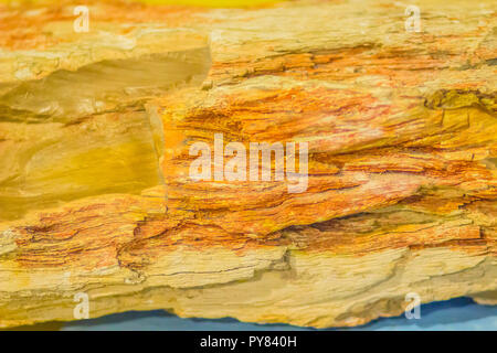 Hintergrund von versteinertem Holz, eine besondere Art von fossile Überreste der terrestrischen Vegetation von Baum zu Baum - wie Pflanzen mit vollständig transitione Stockfoto