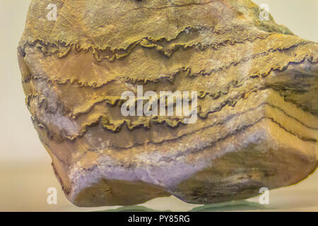 Gefaltete Rock aus dem Bergbau für Bildung. Falten in den Felsen variieren in der Größe von mikroskopisch kleinen Fältchen zu Berg Größe falten und einzeln auftreten als isolierte Falten Stockfoto