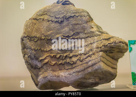 Gefaltete Rock aus dem Bergbau für Bildung. Falten in den Felsen variieren in der Größe von mikroskopisch kleinen Fältchen zu Berg Größe falten und einzeln auftreten als isolierte Falten Stockfoto