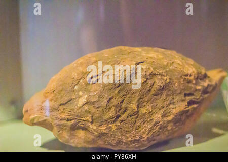 Eine vulkanische Bombe Stein Probe mit Korn Rauschen im Hintergrund. Die vulkanische Bombe ist eine Masse von geschmolzenem Gestein gebildet, wenn ein Vulkan wirft viskose Fragmente von l Stockfoto