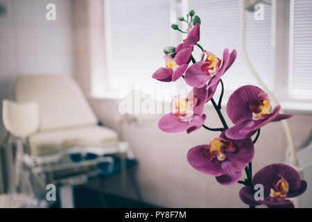 Fyazino, Russland - 06 11 2018: gynäkologische Stuhl in der Arztpraxis, Orchidee. Women's Health Concept Stockfoto