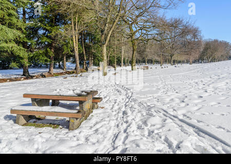 Einen hellen, sonnigen Wintertag in eine verschneite Stadt Park, ein Tisch und eine Bank mit Schnee bedeckt, Spuren im Schnee, Gänse, grünen Bäumen und einem blauen Himmel Stockfoto