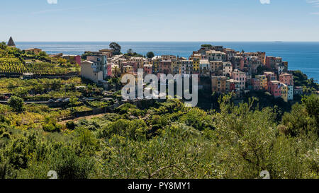 Schöne Panoramasicht auf Corniglia und seine Umgebung, Cinque Terre, Ligurien, Italien Stockfoto