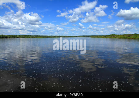 Die Mitte des Nil in Uganda als von einem Fluss Bootsfahrt im Murchison Falls National Park gesehen Stockfoto