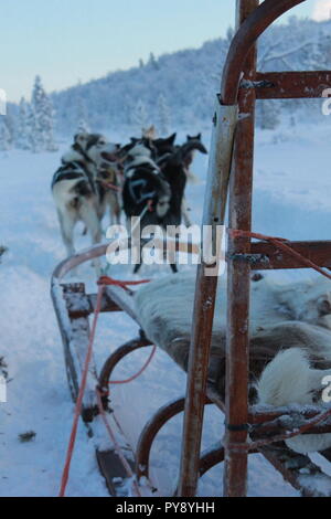 Einen Schlitten und Mannschaft der Hunde in einer verschneiten Landschaft Stockfoto