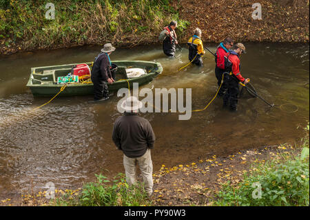 Umwelt Agentur Team Elektrofischerei den Fluss Medway zu probieren, die Fischbestände und die Daten über die Gesundheit des Flusses sammeln. Stockfoto