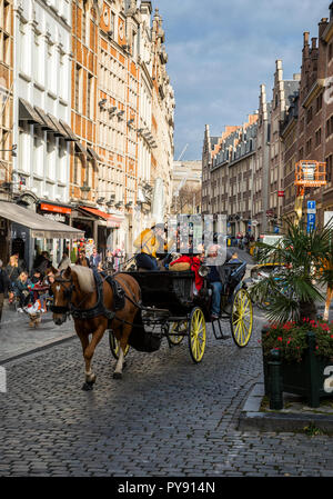 Pferdekutsche in den Straßen von Brüssel, touristische Attraktion Stockfoto