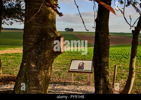 Informationstafeln über die gefallenen Soldaten neben Lochnagar mine Krater an der Somme Schlachtfeld Stockfoto