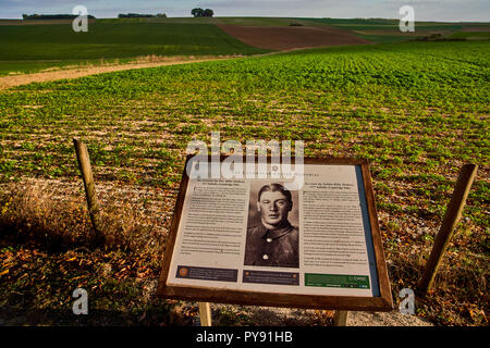 Informationstafeln über die gefallenen Soldaten neben Lochnagar mine Krater an der Somme Schlachtfeld Stockfoto