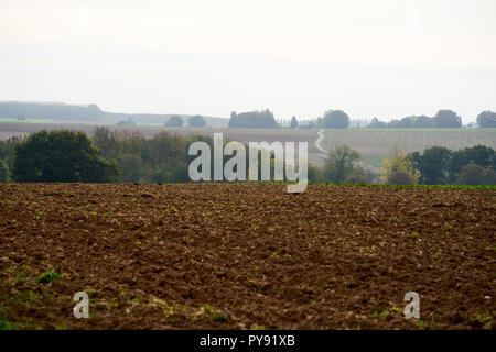 Blick über die Front an der Somme Schlachtfeld von der Leipziger Salient Stockfoto