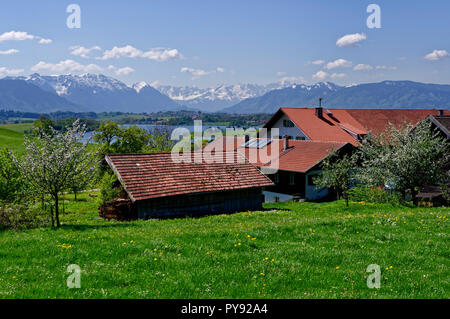 Bauernhof in Leibersberg (Gemeinde Riegsee) im Oberland, im Hintergrund der Riegsse vor der Alpen, Oberbayern, Deutschland Stockfoto