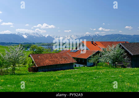 Bauernhof in Leibersberg (Gemeinde Riegsee) im Oberland, im Hintergrund der Riegsse vor der Alpen, Oberbayern, Deutschland Stockfoto