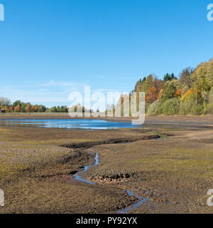 See "Mittleren Pfauenteich' im Harz, Deutschland, bei niedrigem Wasserstand aufgrund eines trockenen Sommers Stockfoto