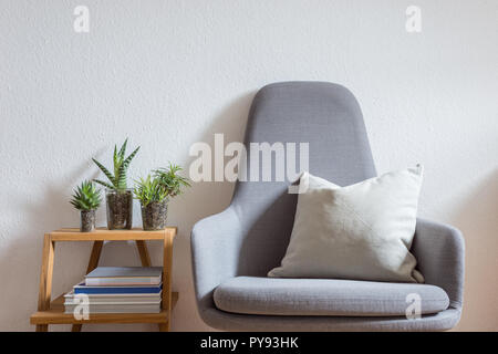 Moderne Sessel mit Kissen in helles Wohnzimmer, eingerichtet mit Büchern und Sukkulenten Stockfoto