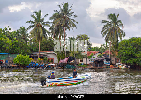 Fischerdorf Negombo, Sri Lanka Stockfoto