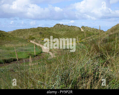 Kenfig Dünen Naturschutzgebiet, in der Nähe von Porthcawl, South Wales, UK. Stockfoto