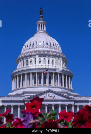 Das Kapitol in Washington, D.C., Hauptstadt der Vereinigten Staaten von Amerika Stockfoto
