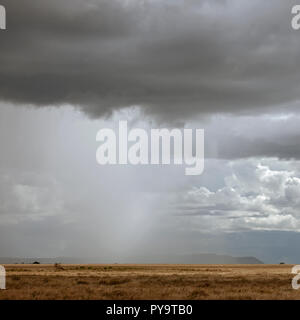 Landschaft der Serengeti, Tansania, Afrika Stockfoto