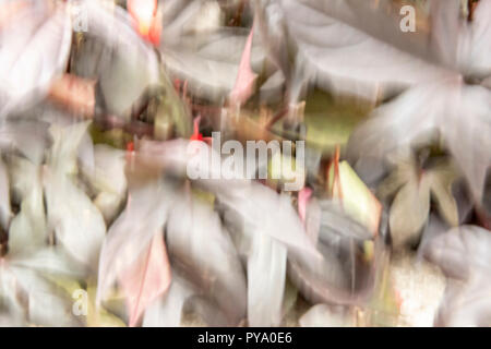 Hintergrund abstrakte Bildschirmschoner in Blau, Grau, Rot, Pink, Weiß für Computerhintergrund, Hintergrundbild, Feiertage, Weihnachten, Feiertage, alles mit Platz. Stockfoto