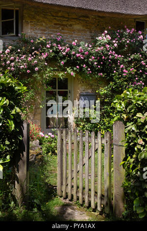 Gateway in Cottage führenden mit Kletterrosen rund um Windows in Englischer Garten, England, Europa Stockfoto