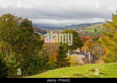 Blick nach Westen von Asche Steinbruch, Stanhope, gewohnt, County Durham, UK Stockfoto