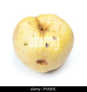 Alten faulen Apfel auf weißem Hintergrund isoliert, ungesund zu essen Stockfoto