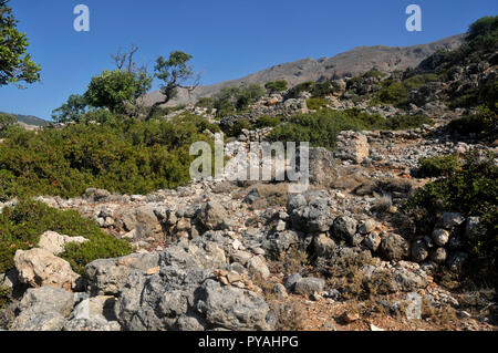 Urlaub in Kreta - Voyage en Crète Stockfoto