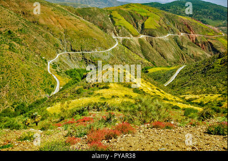 Marokko kurvenreichen Straßen im ATLASGEBIRGE IM FRÜHLING Stockfoto