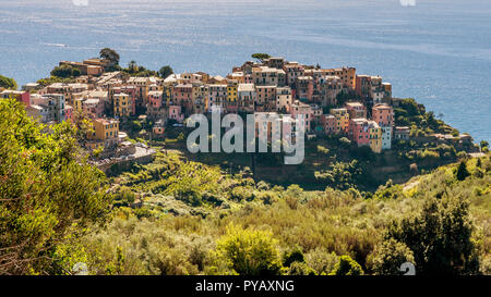 Schöne Luftaufnahme von Corniglia in der Cinque Terre, Ligurien, Italien Stockfoto