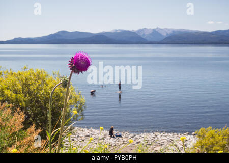 Die malerische Landschaft des Nahuel Huapi See in der Nähe von San Carlos de Bariloche, Argentinien. Südafrika Argentinien Stockfoto