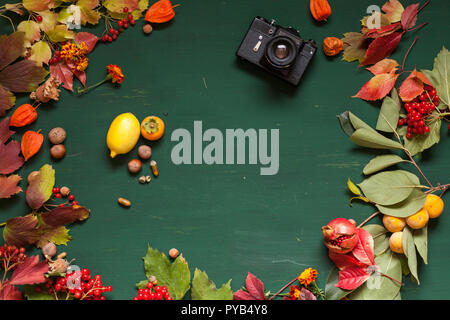 Rote und gelbe Blätter im Herbst Obst Nüsse auf grünem Hintergrund Stockfoto
