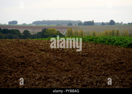 Ein Blick von der Leipziger Salient Blick über, wo die Front am 1. Juli 1916 wurde an der Somme in Frankreich Stockfoto