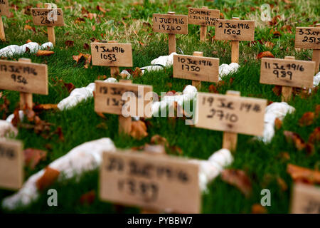 Eine temporäre Kunst Installation zu Thiepval. "Leben", die der Künstler Rob gehört - Kennzeichnung, die Zahl der Verkehrstoten auf jeden Tag des Ersten Weltkrieges. Stockfoto