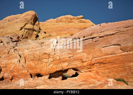 NV 00044-00 ... NEVADA - Multi-farbigen Sandstein Rippen auf eine Kuppel aus der weißen Kuppeln Loop Trail im Valley of Fire State Park gesehen. Stockfoto