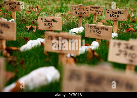 Eine temporäre Kunst Installation zu Thiepval. "Leben", die der Künstler Rob gehört - Kennzeichnung, die Zahl der Verkehrstoten auf jeden Tag des Ersten Weltkrieges. Stockfoto