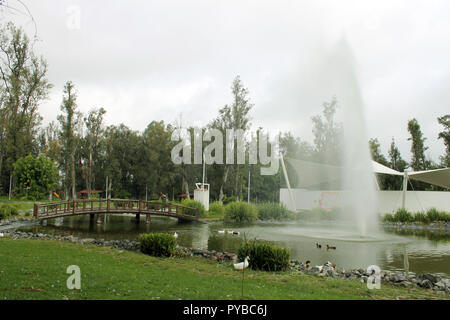 Una mañana nublada en un Parque vertraut Stockfoto