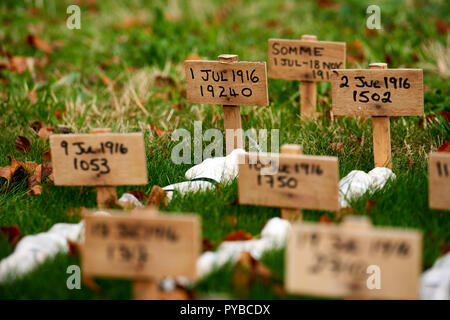 Eine temporäre Kunst Installation zu Thiepval. "Leben", die der Künstler Rob gehört - Kennzeichnung, die Zahl der Verkehrstoten auf jeden Tag des Ersten Weltkrieges. Stockfoto