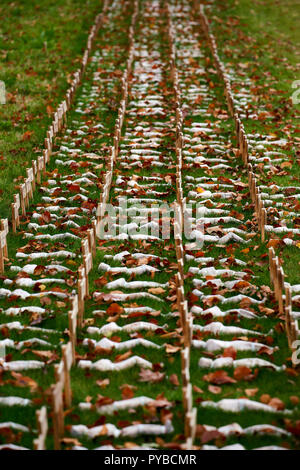 Eine temporäre Kunst Installation zu Thiepval. "Leben", die der Künstler Rob gehört - Kennzeichnung, die Zahl der Verkehrstoten auf jeden Tag des Ersten Weltkrieges. Stockfoto