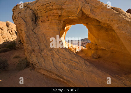 NV 00050-00 ... NEVADA - ein Fenster, durch das aztekische Sandstein in der Mojave Wüste in der Beim Kuppeln Loop Trail im Valley of Fire State Park entfernt. Stockfoto