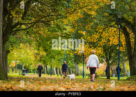 Aberystwyth Wales UK, 26/10/2018 UK Wetter: Menschen zu Fuß entlang der von Bäumen gesäumten Avenue Park Plascrug wie die Blätter im Herbst Farben leuchten n a bitter kalt, aber hell und sonnig Oktober Nachmittag in Aberystwyth Wales Photo credit Keith Morris/Alamy leben Nachrichten Stockfoto