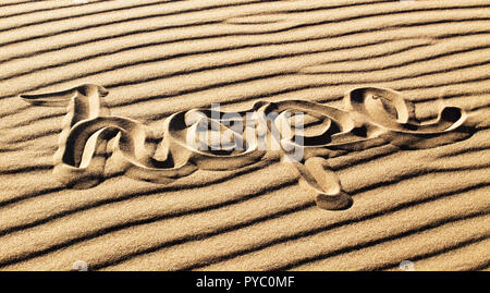 Die Hoffnung auf die wellige Sand im Great Sand Dunes National Park, Colorado geschrieben Stockfoto