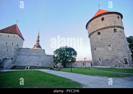 Stadtmauer von Tallinn, Estland Stockfoto