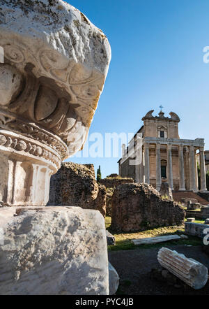 Blick über das Forum Romanum zum Tempel des Antoninus und der Faustina, jetzt die Kirche von San Lorenzo in Miranda, Forum Romanum, Rom, Italien. Stockfoto