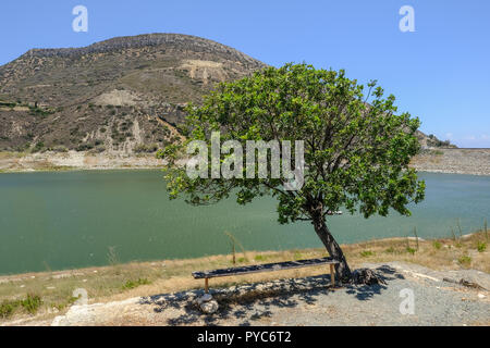 Single Tree mit schattigen Bank Germasogeia Dam Landschaft Blick auf einen strahlend blauen Himmel Tag Anfang Sommer. Stockfoto