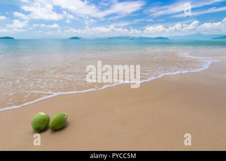 Kokosnüsse am wunderschönen Strand mit Blauer Himmel im Sommer Stockfoto