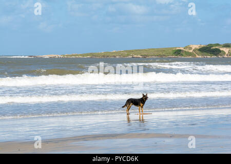 Playa Grande in Santa Teresa Nationalpark, Rocha, Uruguay Stockfoto