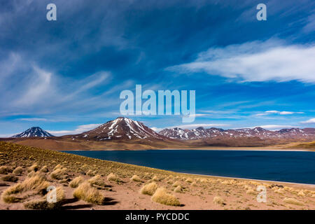 Die atemberaubende Landschaft von miscanti See in den hohen Anden in der Nähe von San Pedro de Atacama, ein Reiseziel im Norden von Chile in Südamerika Stockfoto