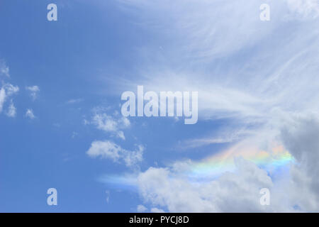 Ein himmlisches Meisterwerk, in dem ein lebhafter Regenbogen inmitten eines Meeres aus Baumwollwolken tanzt. Stockfoto